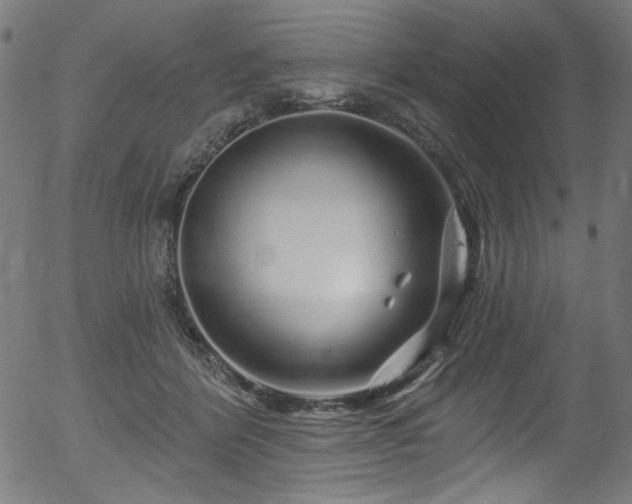 X0000056370412200508291406