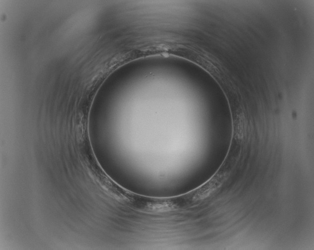 X0000056370414200508291406