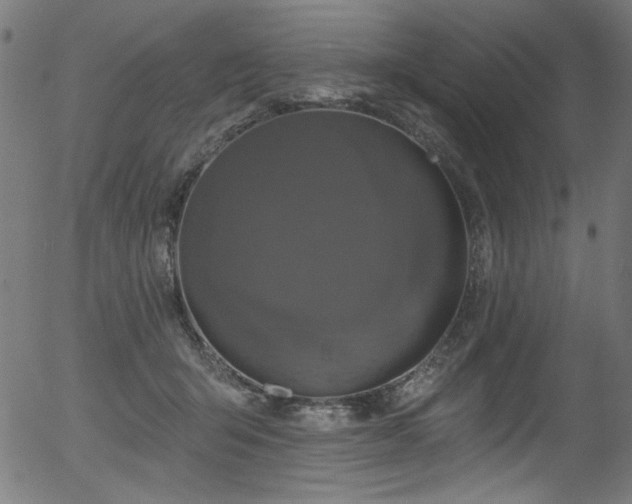 X0000056370415200508291406