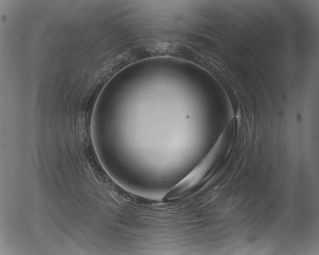 X0000056370416200508291406