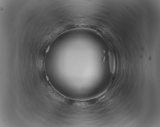 X0000056370417200508291406