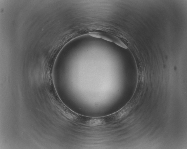 X0000056370418200508291406