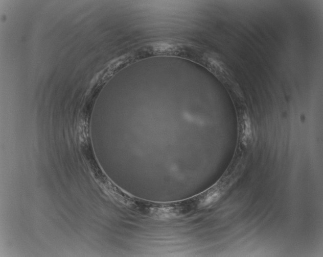 X0000056370419200508291406