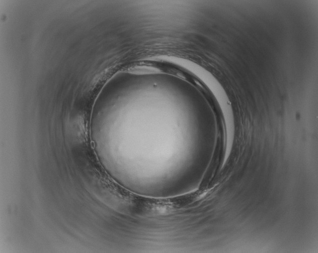 X0000056370420200508291406