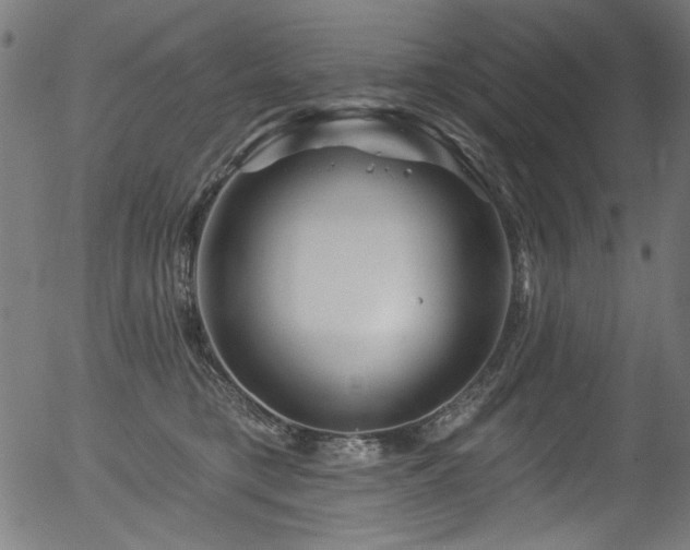 X0000056370421200508291406