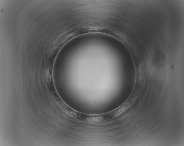 X0000056370422200508291406