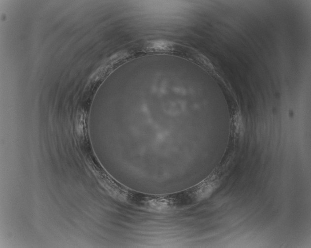 X0000056370423200508291406