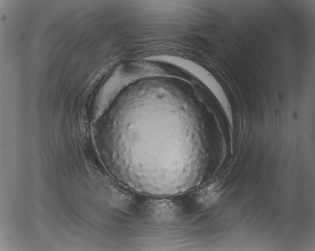 X0000056370424200508291406