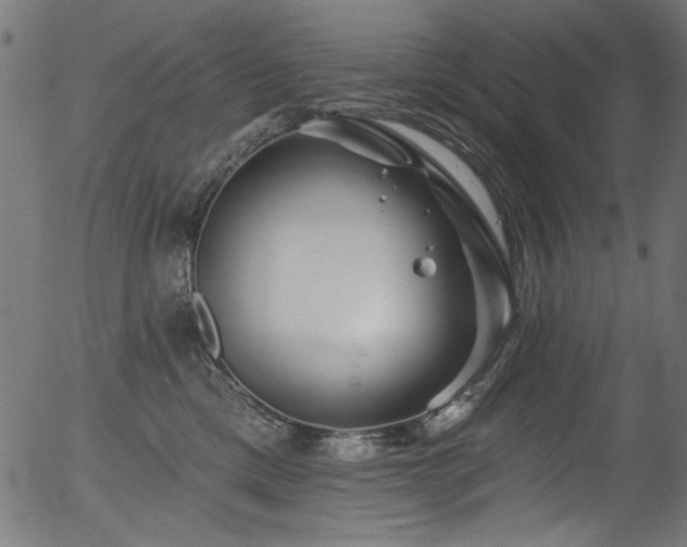 X0000056370425200508291406