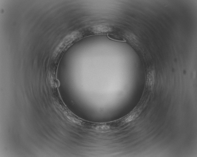 X0000056370426200508291406