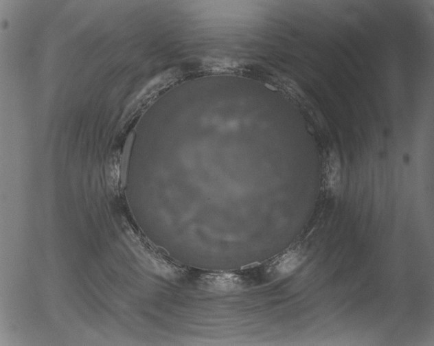 X0000056370427200508291406