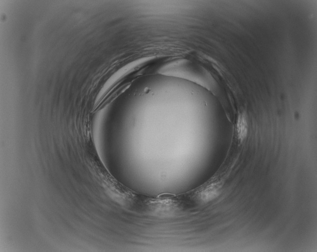 X0000056370428200508291406