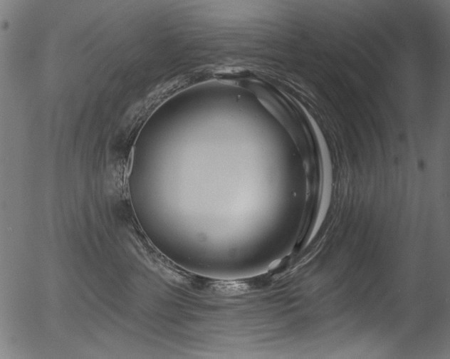 X0000056370429200508291406