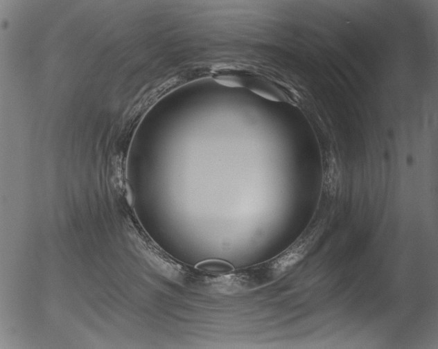 X0000056370430200508291406