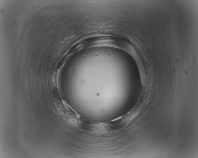 X0000056370432200508291406