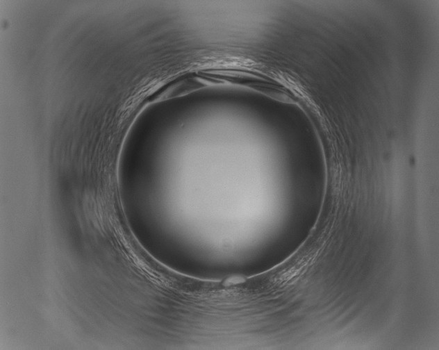 X0000056370433200508291405