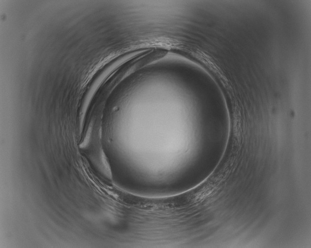 X0000056370434200508291405