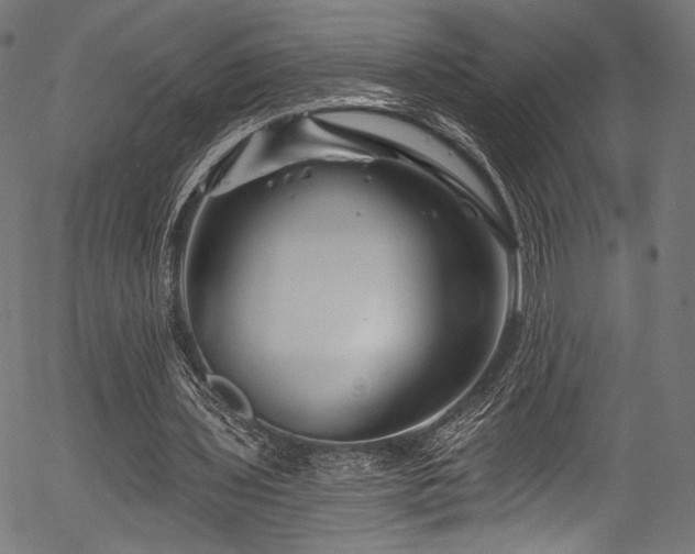 X0000056370435200508291405