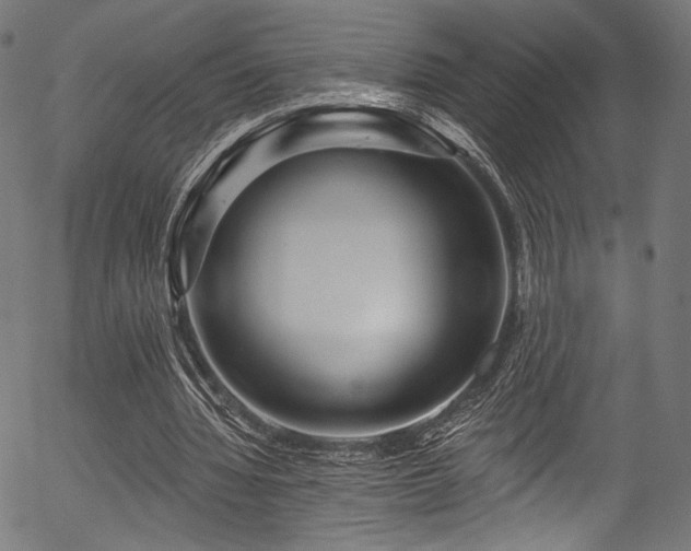 X0000056370436200508291405