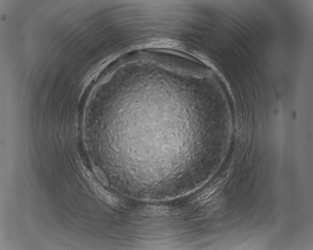 X0000056370437200508291405