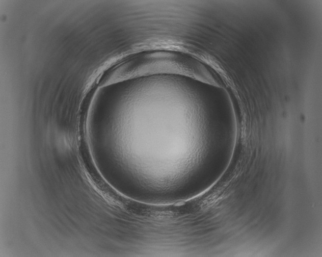 X0000056370438200508291405