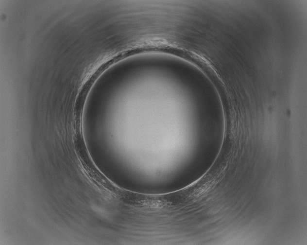 X0000056370439200508291405