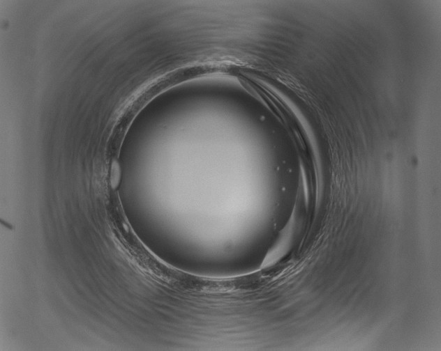 X0000056370440200508291405