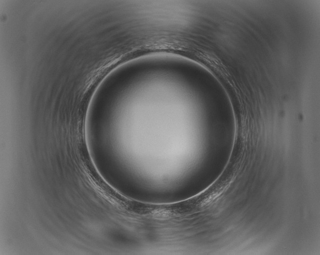 X0000056370441200508291405