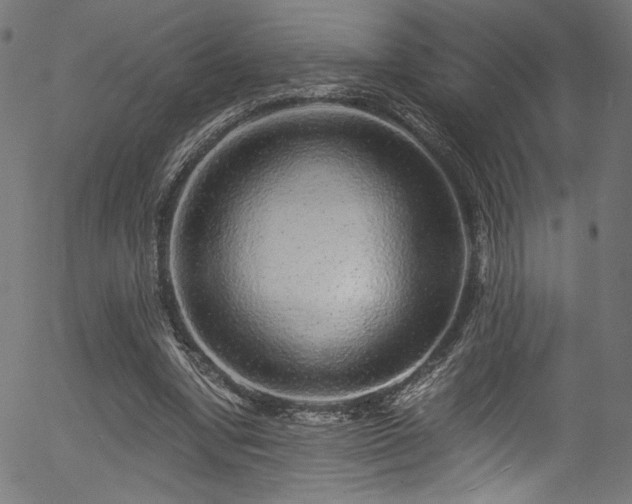 X0000056370442200508291405