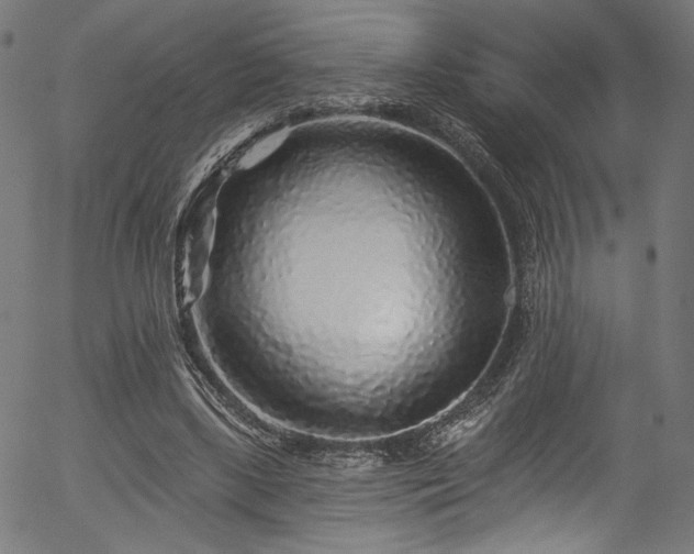 X0000056370443200508291405