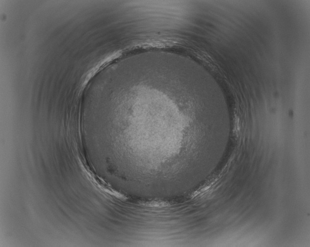 X0000056370444200508291405