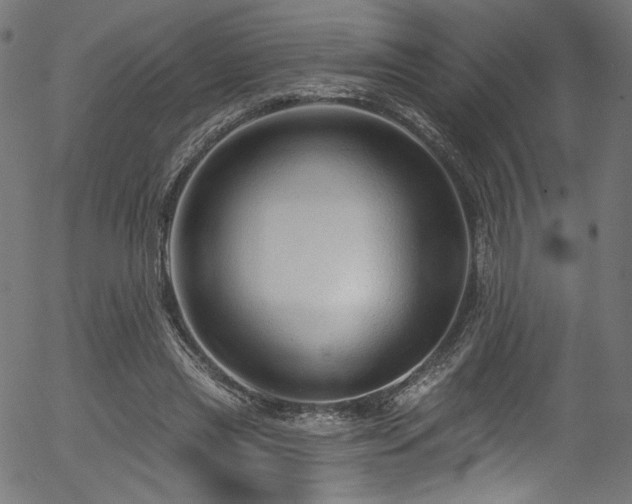 X0000056370445200508291405