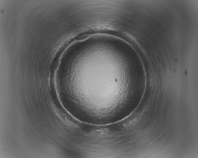 X0000056370447200508291405