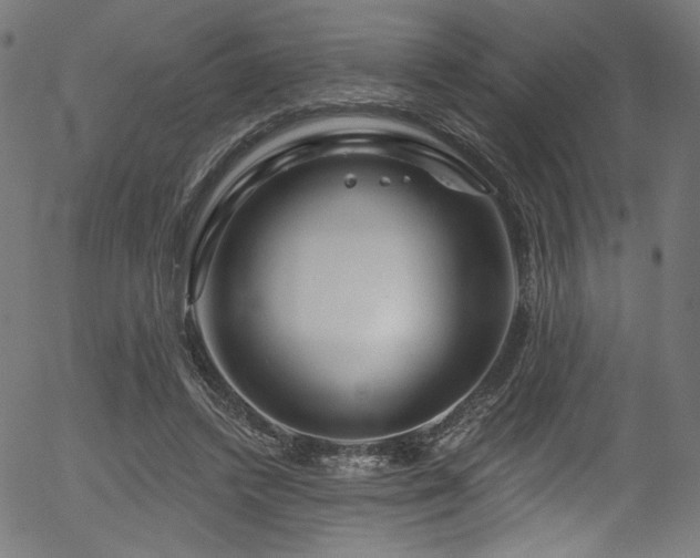 X0000056370448200508291405