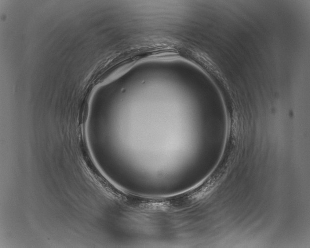 X0000056370449200508291405