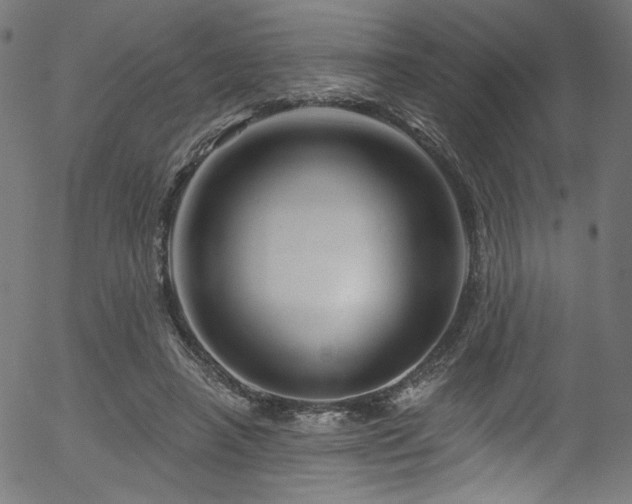 X0000056370450200508291405