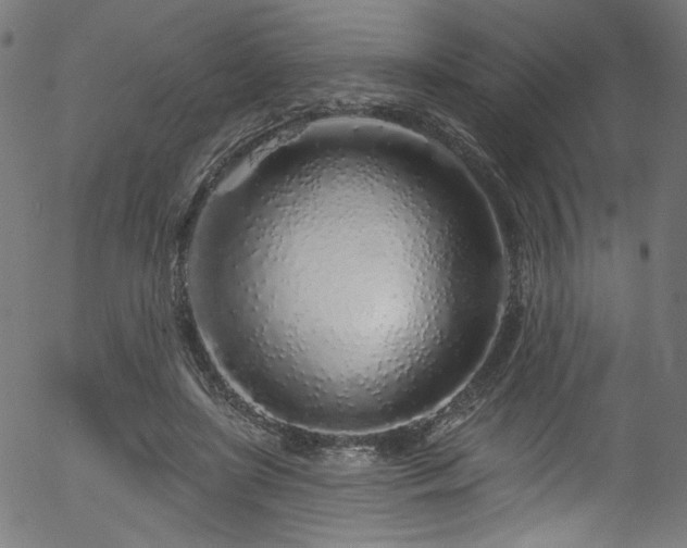 X0000056370451200508291405