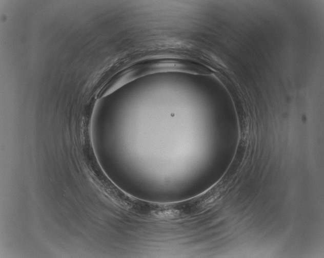 X0000056370452200508291405