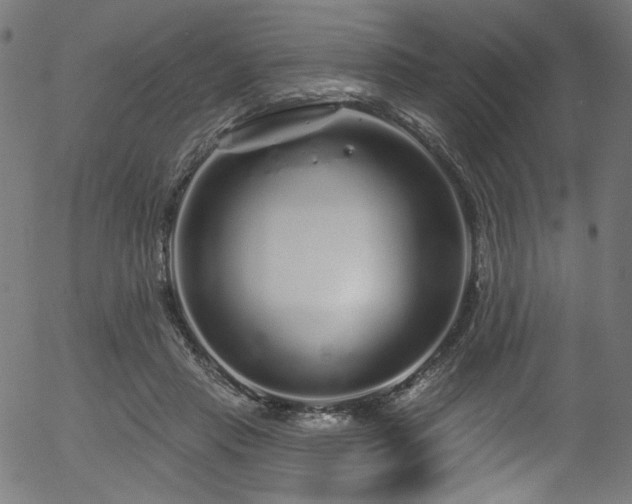 X0000056370453200508291405