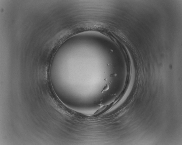 X0000056370454200508291405