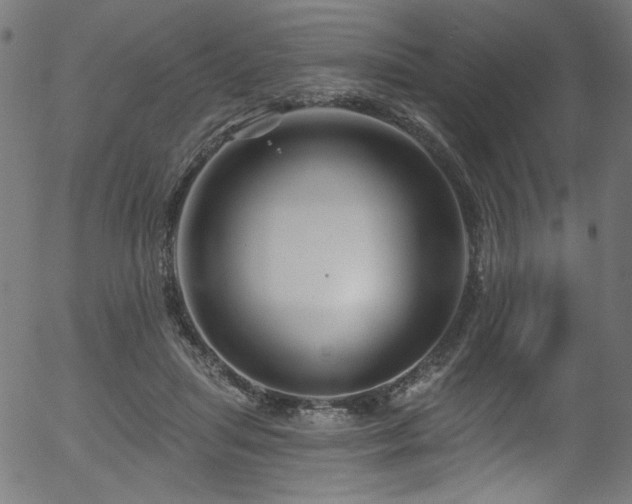 X0000056370455200508291405