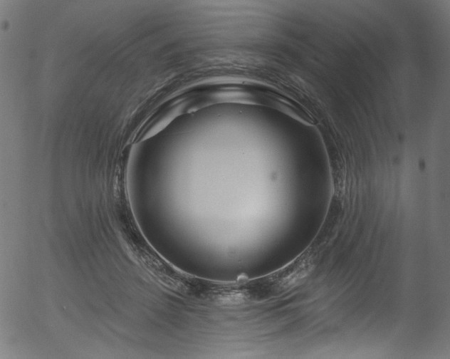 X0000056370456200508291405