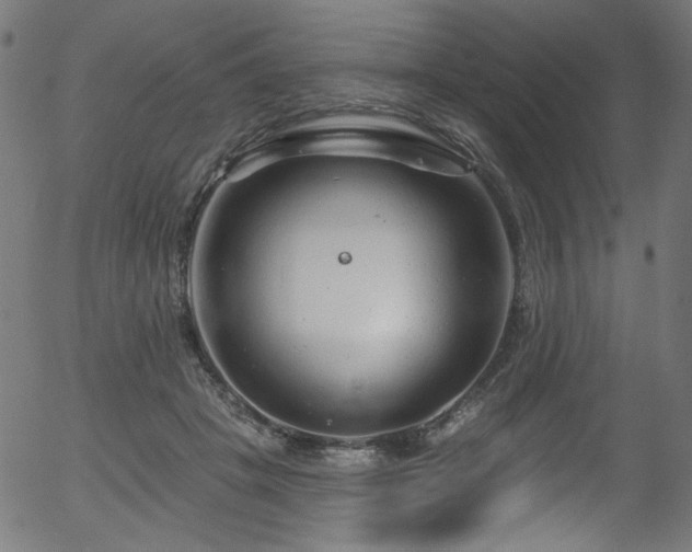 X0000056370457200508291405