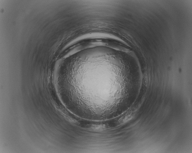 X0000056370458200508291405