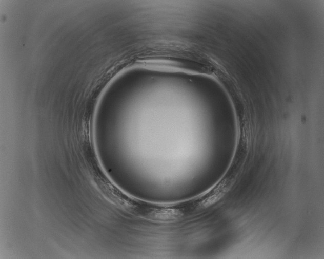 X0000056370459200508291405