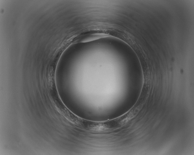 X0000056370460200508291405