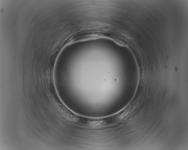 X0000056370461200508291405