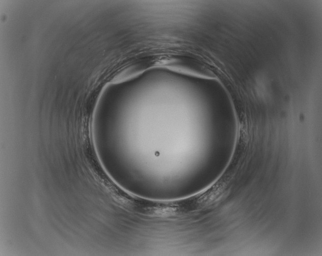 X0000056370462200508291405