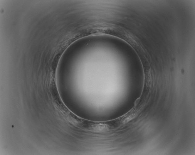 X0000056370463200508291405