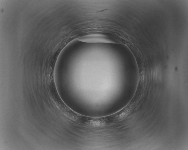 X0000056370464200508291405